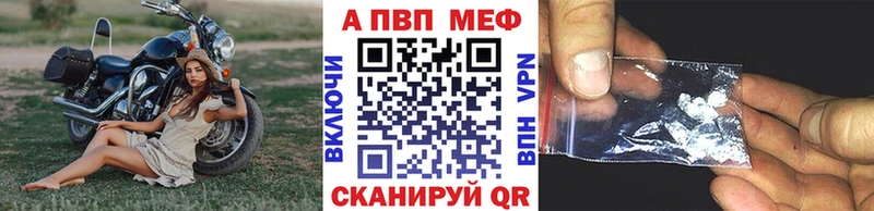 A-PVP СК  Кущёвская 