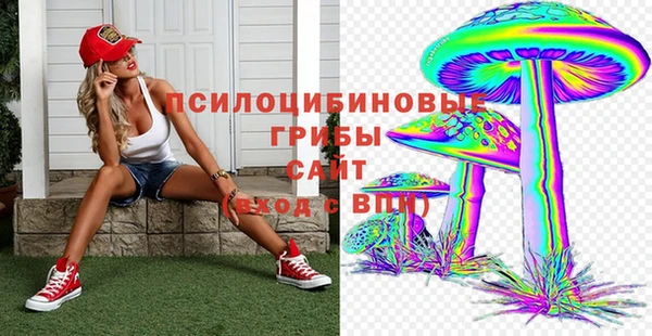 ешки Гусев