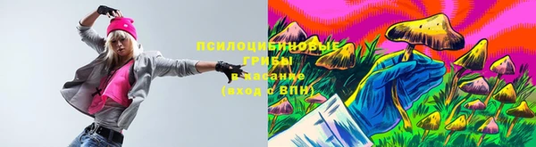 а пвп мука Гусь-Хрустальный