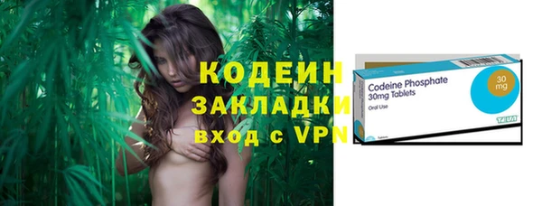 ешки Гусев