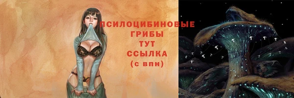ешки Гусев