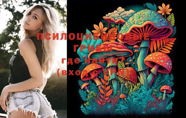 mdma Гусиноозёрск