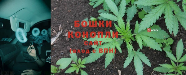 ешки Гусев