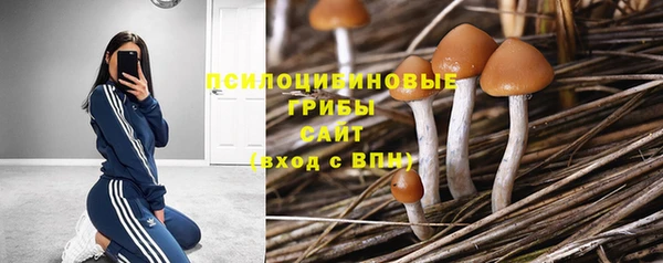 ешки Гусев