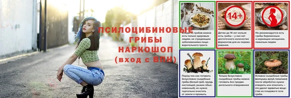 а пвп мука Гусь-Хрустальный