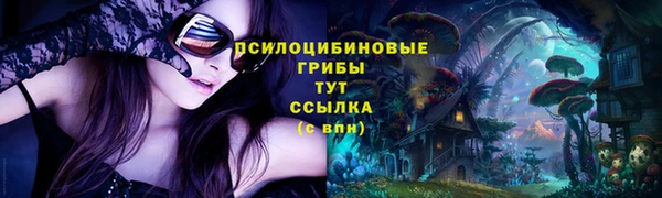 ешки Гусев