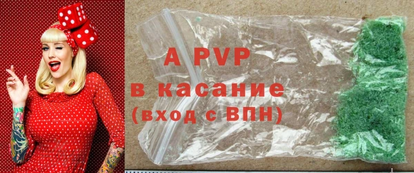 ешки Гусев